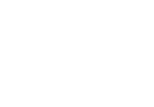 SaverDrone Logo